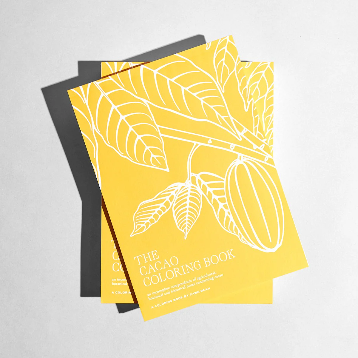 The Cacao Coloring Book By Dawn Dean - Image 3