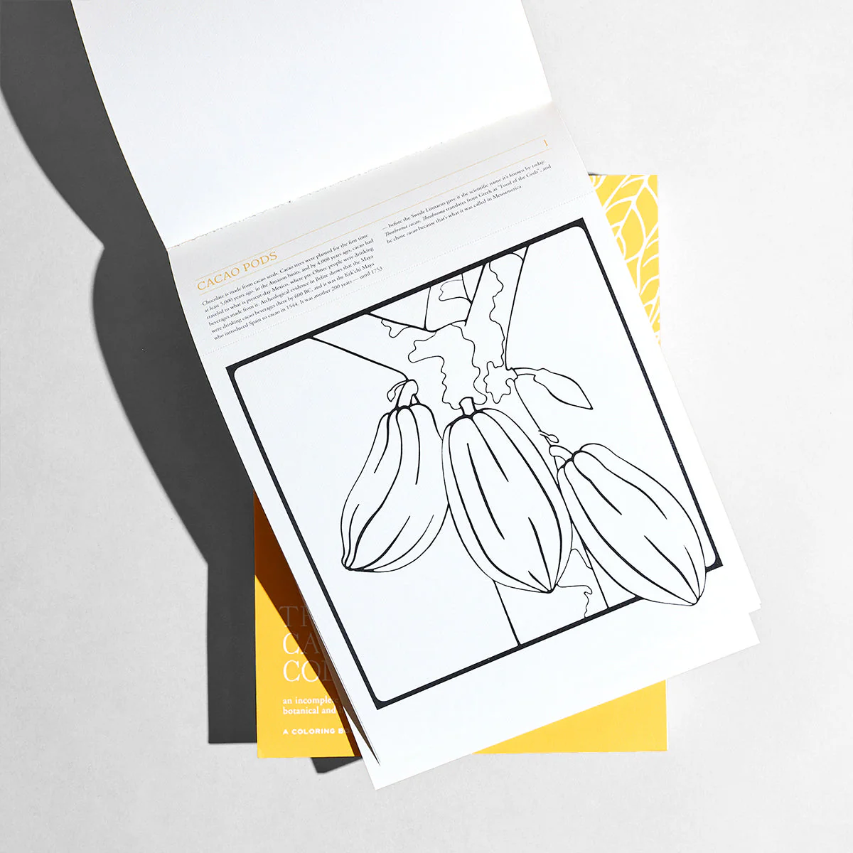 The Cacao Coloring Book By Dawn Dean - Image 4