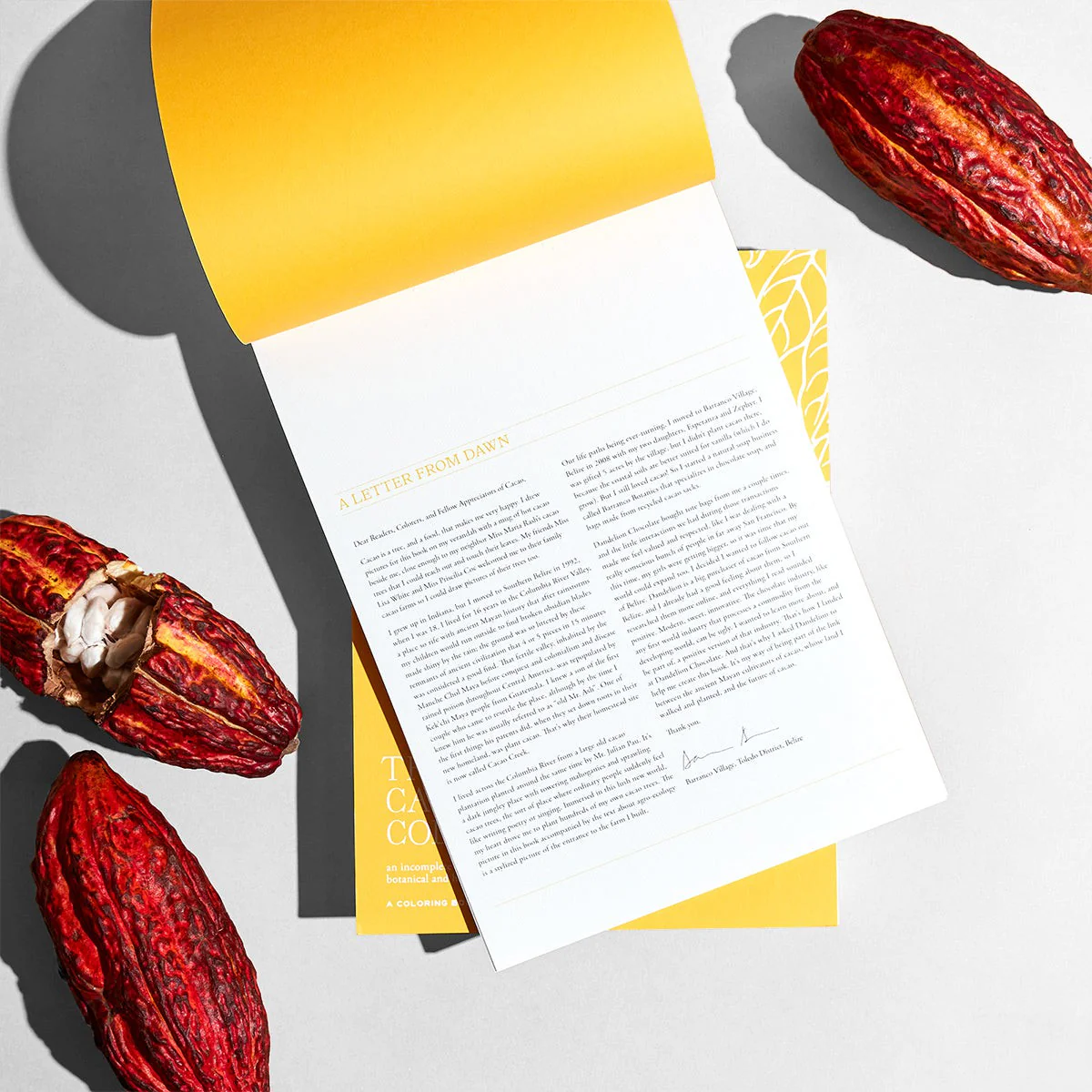 The Cacao Coloring Book By Dawn Dean - Image 6