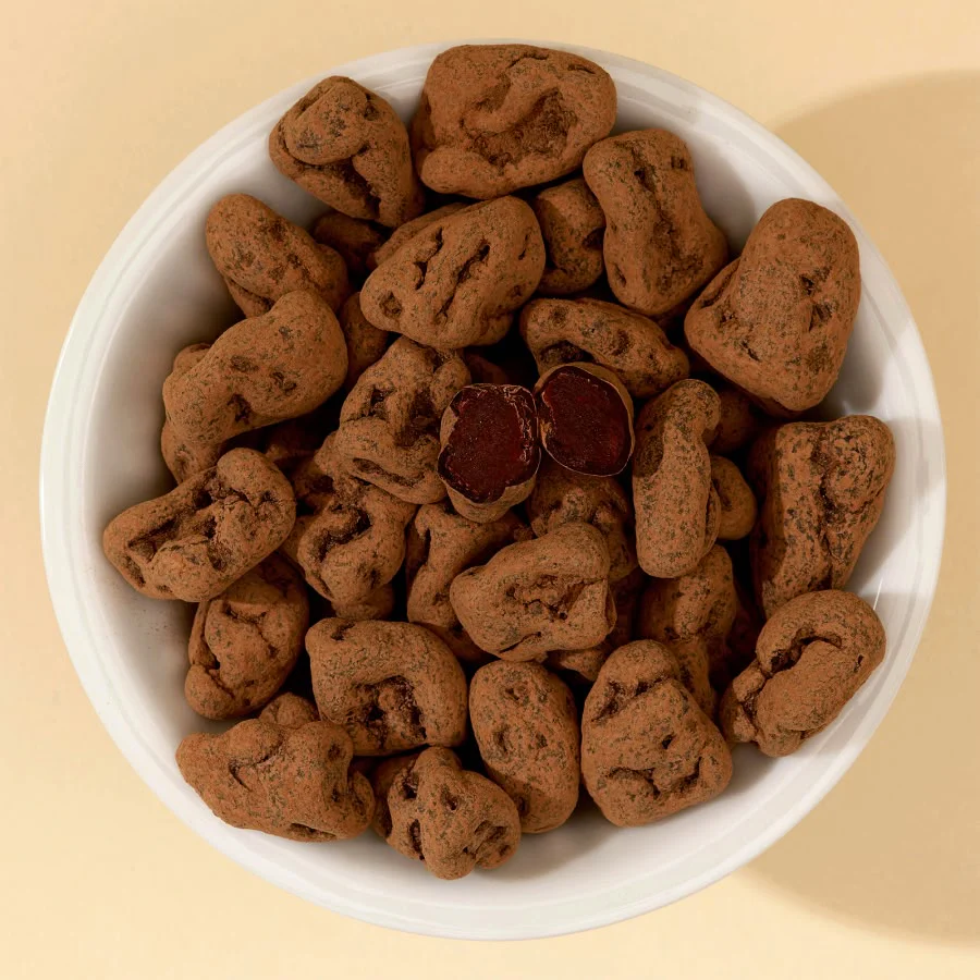 Chocolate-Covered Apricots - Image 3