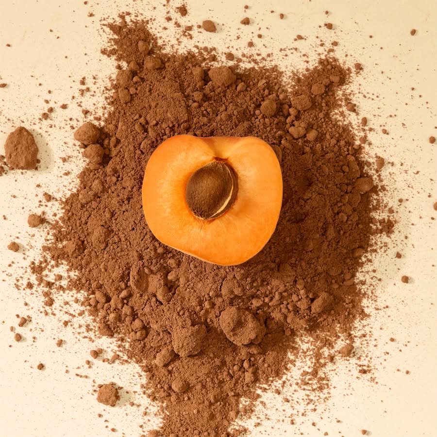 Chocolate-Covered Apricots - Image 4