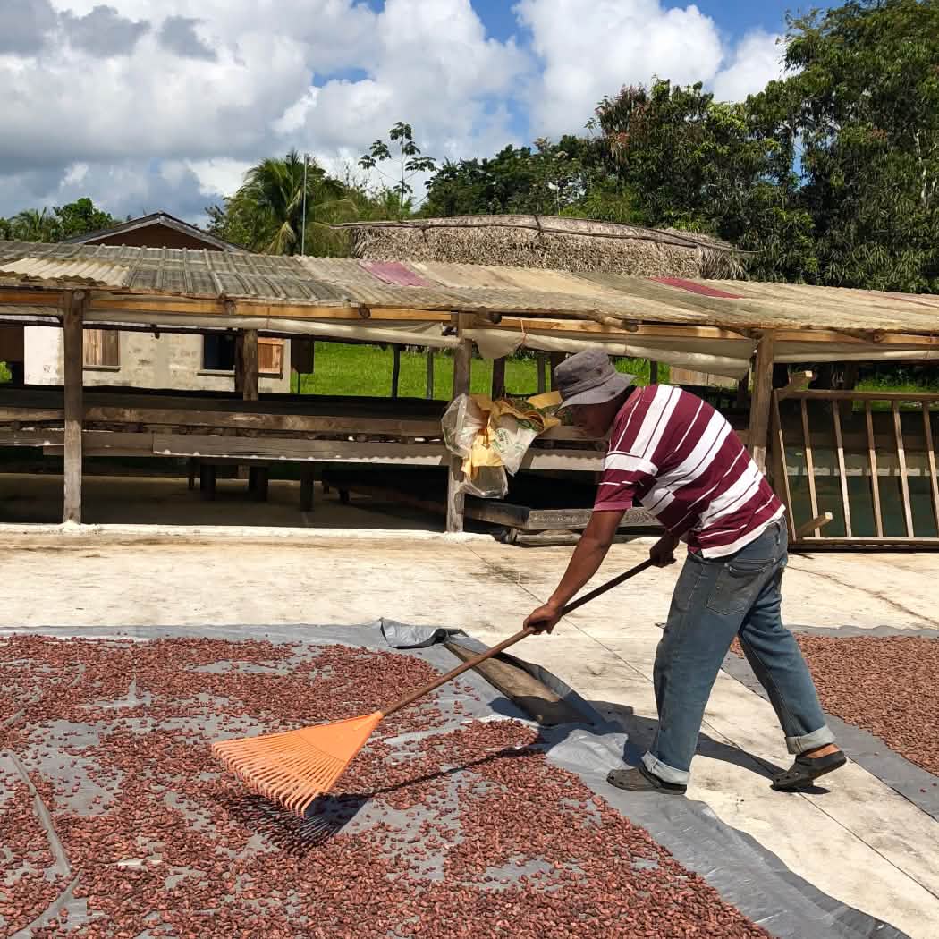 Maya Mountain, Belize 70% 2025 Harvest Single-Origin Chocolate Bar - Image 6