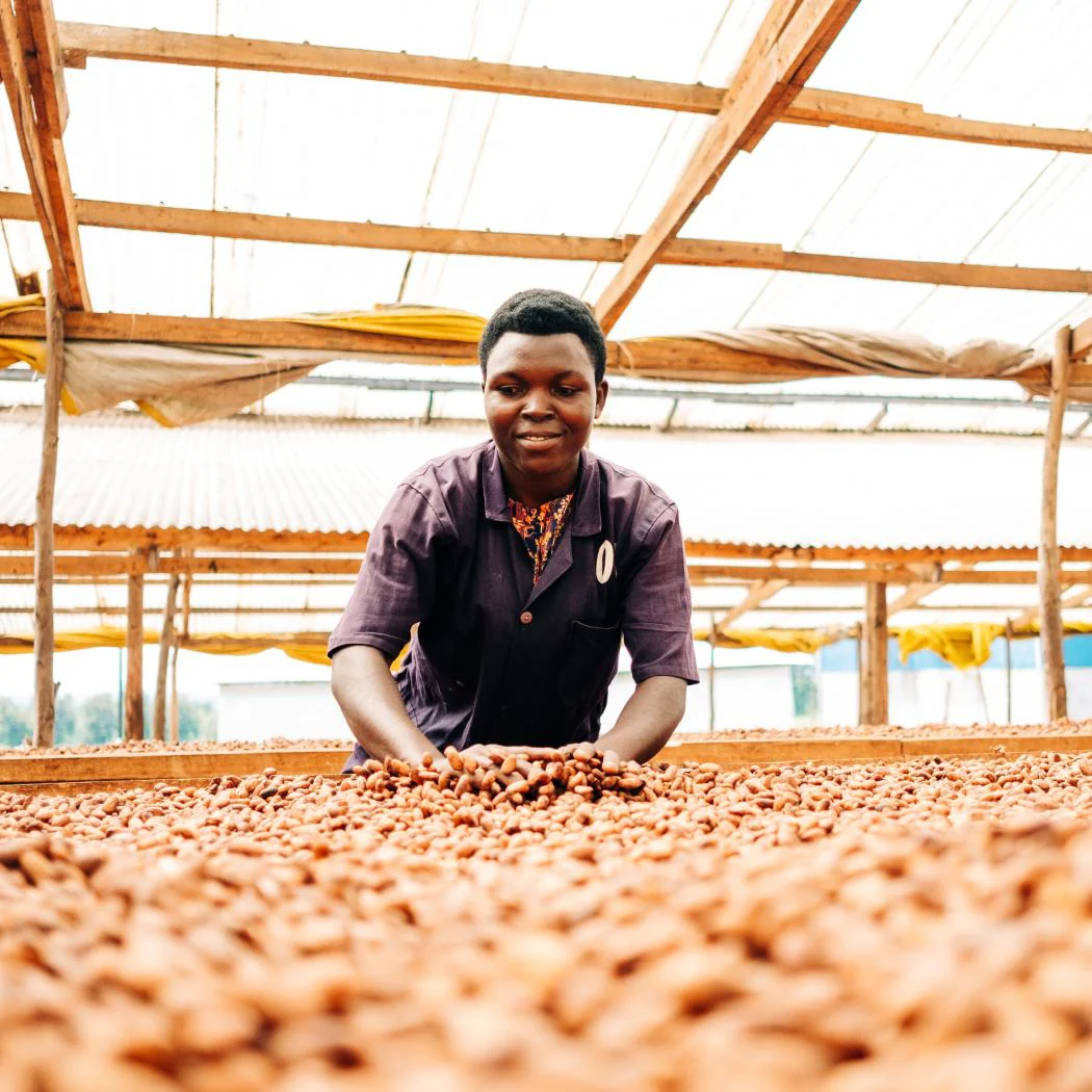 Semuliki Forest, Uganda 85% Single-Origin Chocolate Bar - Image 6