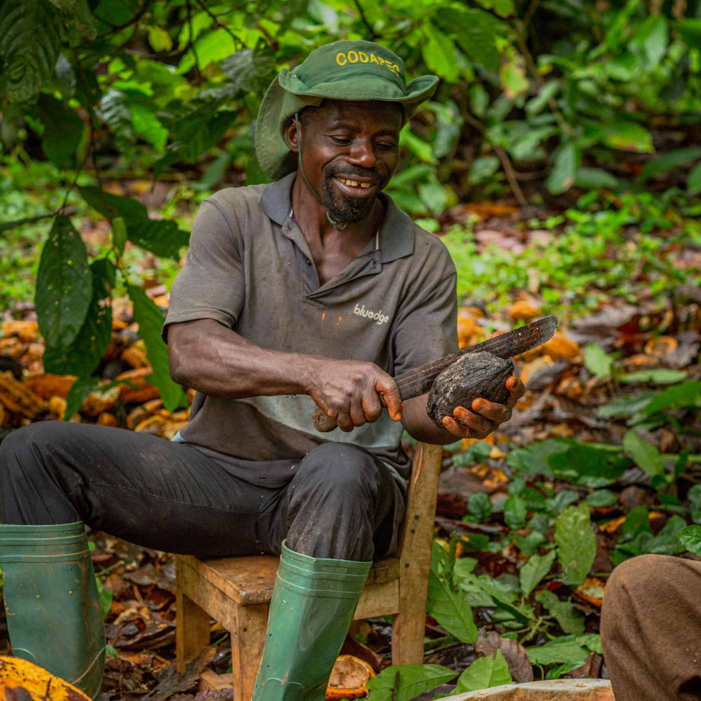 Takyikrom, Ghana 70% Single-Origin Chocolate Bar - Image 5